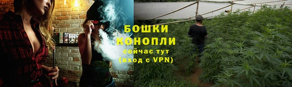 ALPHA PVP Алексеевка