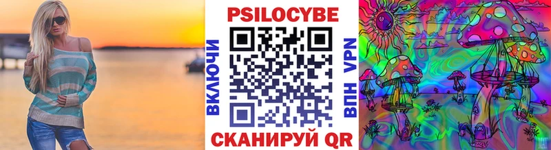 цены Звенигово Псилоцибиновые грибы GOLDEN TEACHER