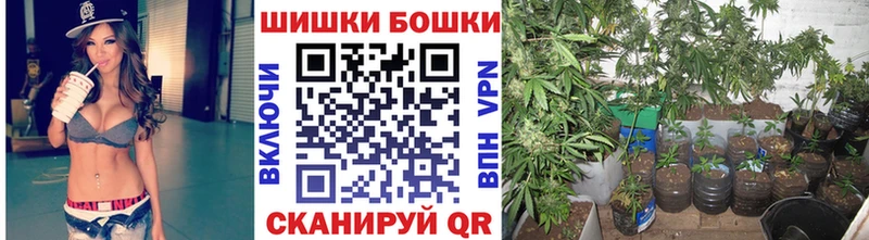 Шишки марихуана план купить наркотики цена Звенигово